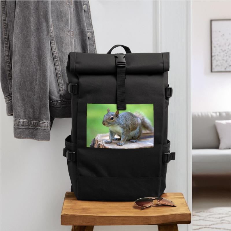 Grey squirrel Grauhörnchen Sciurus carolinensis Roll Top Backpack
