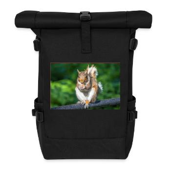 Essen Grauhörnchen Grauhörnchen Sciurus caroline - Rolltop Rucksack - Schwarz - Vorne