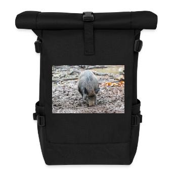 Wildschwein Sus scrofa - Rolltop Rucksack - Schwarz - Vorne