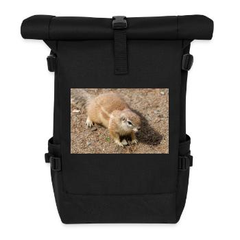African ground squirrels Borstenhörnchen Xerus - Roll Top Backpack - black - Front