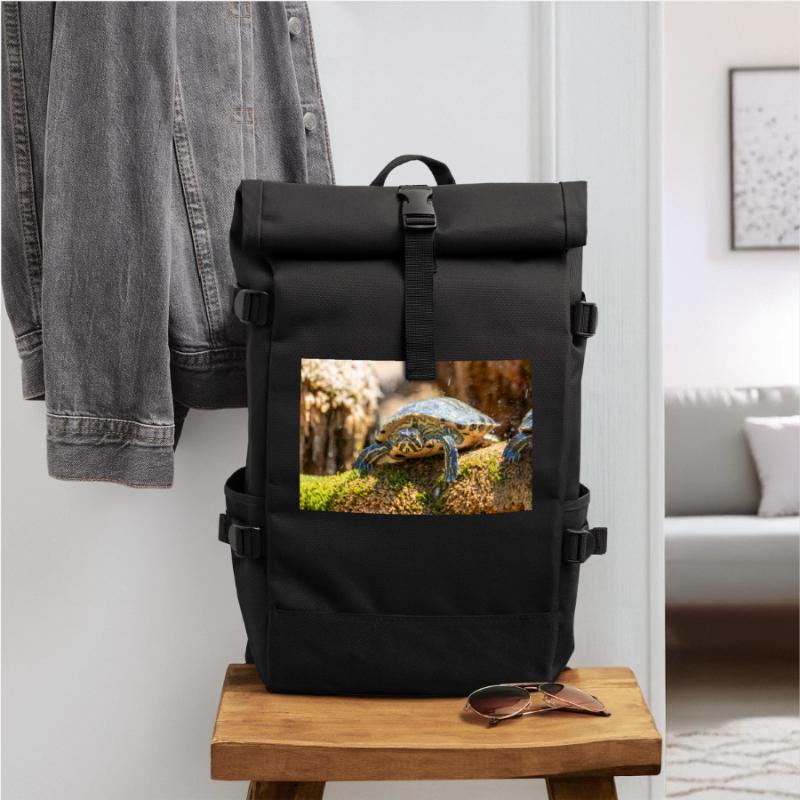 Trachemys scripta scripta scripta Sac à dos roll top