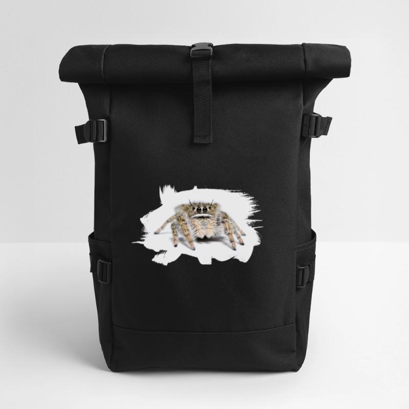 Phidippus texanus jumping spider, spring spinne. Rolltop Rucksack
