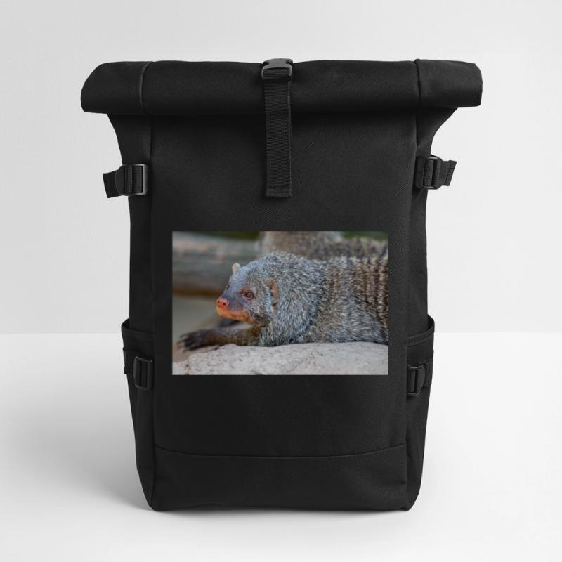 Gebänderte Manguste oder Zebramanguste Zebramanguste Rolltop Rucksack