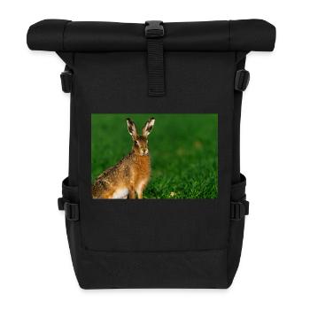 000 5819 DxO DeepPRIME XD2s XD - Roll Top Backpack - black - Front