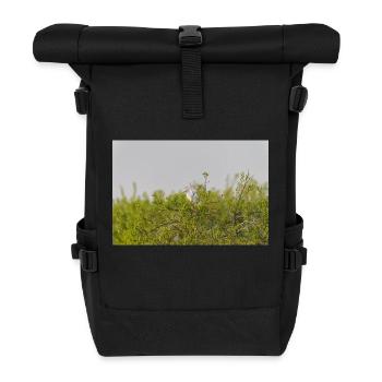 000 0686 Nik NikDxO - Roll Top Backpack - black - Front