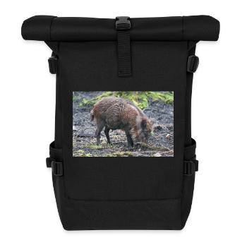 Wildschwein Sus scrofa - Rolltop Rucksack - Schwarz - Vorne