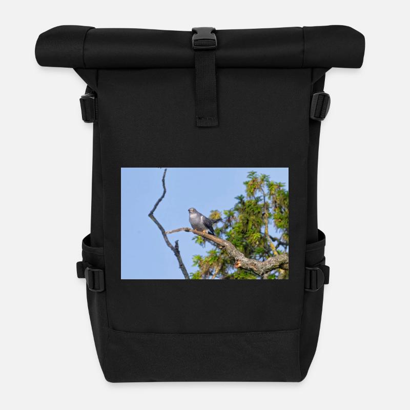 000_1522_NikDxO_cuckoo - Rolltop Rucksack - Schwarz