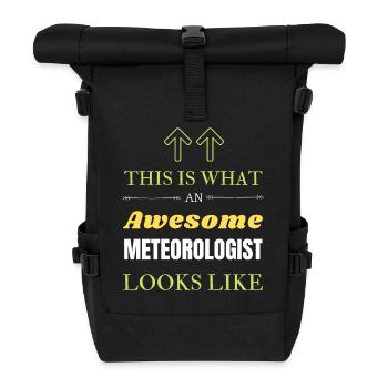 So sieht ein großartiger Meteorologe aus - Rolltop Rucksack - Schwarz - Vorne