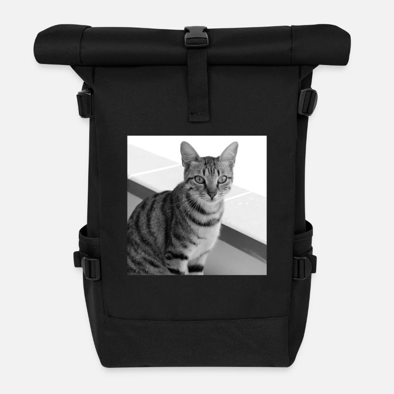 Katze Hintergrund Porträt weiß-schwarz - Rolltop Rucksack - Schwarz