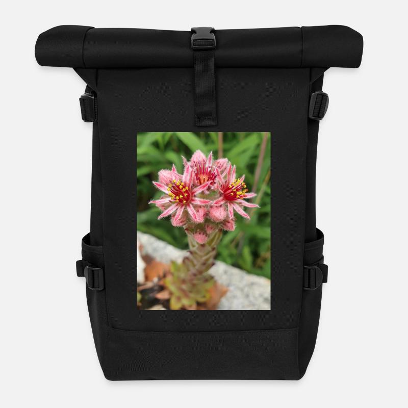 liveforever auch Henne und Küken Sempervivum - Rolltop Rucksack - Schwarz