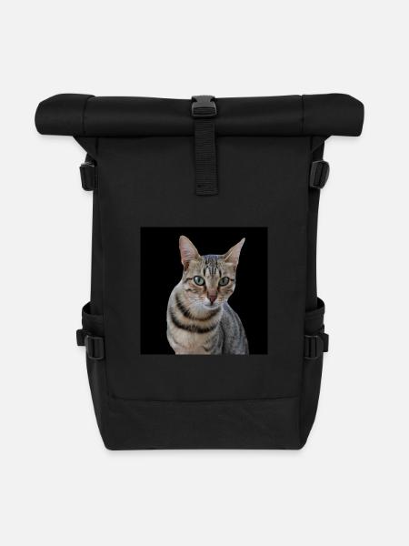 Katze Katzen - Rolltop Rucksack - Schwarz