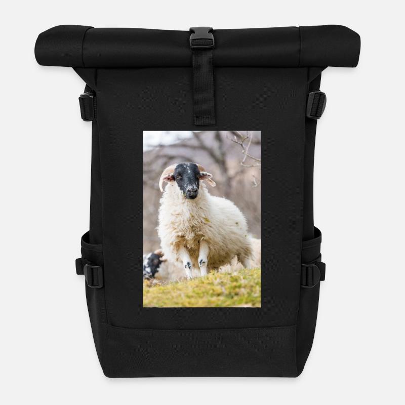 A Highland sheep with black a head in the Scottish - Rolltop Rucksack - Schwarz