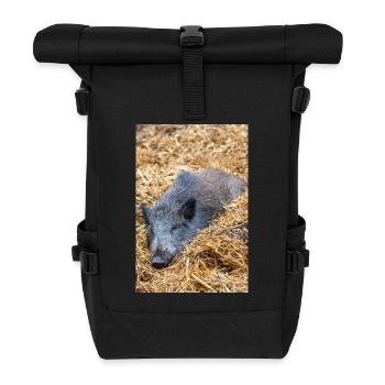 Wild boar (in german Wildschwein) Sus scrofa - Rolltop Rucksack - Schwarz - Vorne