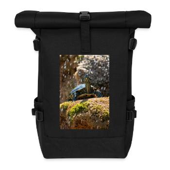 Gelbbauch-Slider Trachemys scripta scripta - Rolltop Rucksack - Schwarz - Vorne