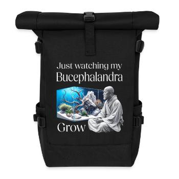 Zen et Bucephalandra – L’art de l’aquascaping - Sac à dos roll top - noir - Devant