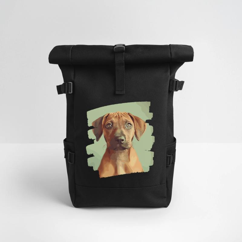 Roll Top Backpack