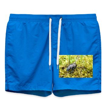 Mistkäfer Poster - Badeshorts - Cobalt blue - Vorne