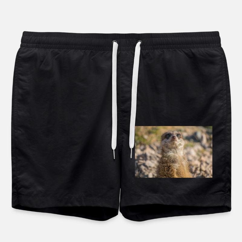 Suricate (Suricata suricatta) suricate - Short de bain - noir