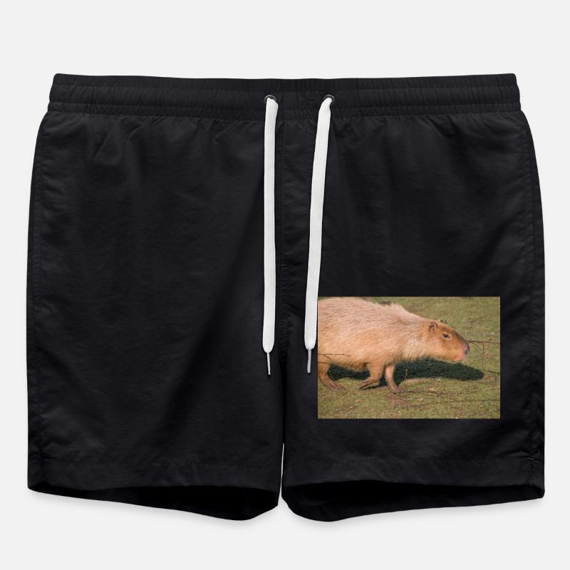 Capybara capybara (Hydrochoerus hydrochaeris) - Short de bain - noir