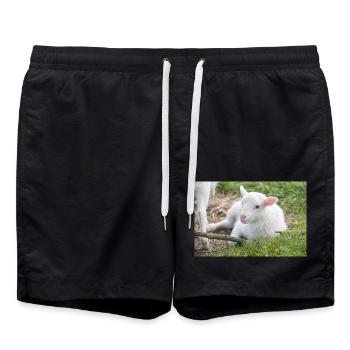 Agneau (Ovis) Agneau - Short de bain - noir - Devant - AI Model Male 185 light (185cm)
