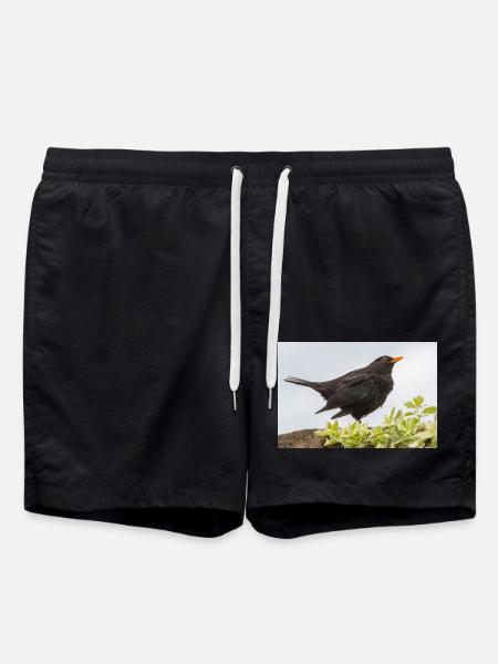 Blackbird (Turdus merula) Blackbird -juliste - Uimashortsit - musta