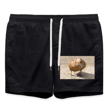 Eider Duck (Eiderente, Somateria mollissima) - Badeshorts - Schwarz - Vorne - AI Model Male 185 light (185cm)