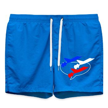Patrouille de France blau weiß rot - Badeshorts - Cobalt blue - Vorne