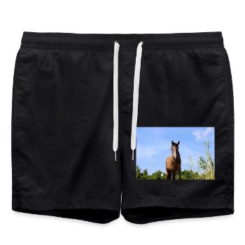 cheval - Short de bain - noir - Devant - AI Model Male 185 light (185cm)
