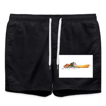Springspinne Phidippus texanus jumping spider - Swim Trunks - black - Front - AI Model Male 185 light (185cm)