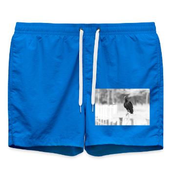 le vautour - Short de bain - cobalt blue - Devant