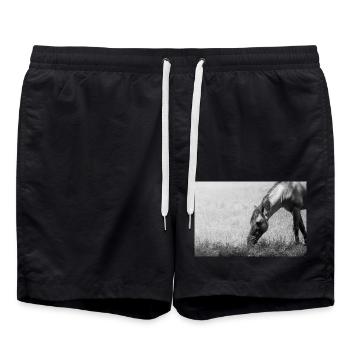 le cheval - Short de bain - noir - Devant - AI Model Male 185 light (185cm)