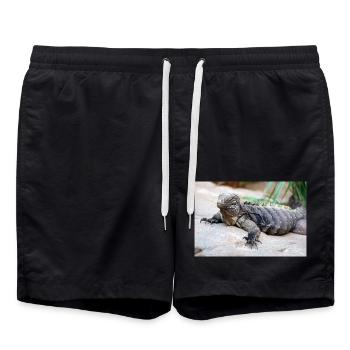 Cuban rock iguana also Cuban ground iguana - Swim Trunks - black - Front - AI Model Male 185 light (185cm)