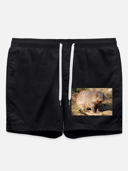 Gebänderte Manguste oder Zebramanguste Zebramanguste - Badeshorts - Schwarz