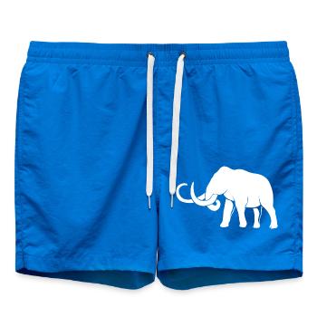 Mammouth - Short de bain - cobalt blue - Devant