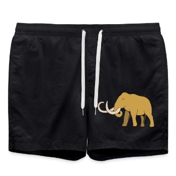 Mammouth - Short de bain - noir - Devant - AI Model Male 185 light (185cm)