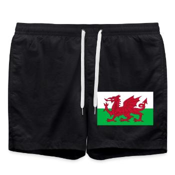 Wales - Swim Trunks - black - Front - AI Model Male 185 light (185cm)