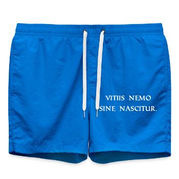 personne ne naît sans erreurs - Short de bain - cobalt blue - Devant