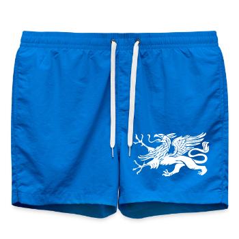Rostock Greif - Vogel Greif - Badeshorts - Cobalt blue - Vorne