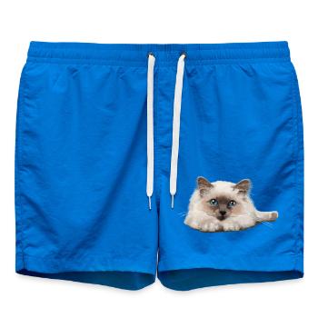 Blue-eyed cat resting - Swim Trunks - cobalt blue - Front