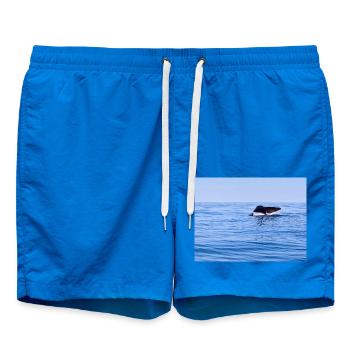 Wal - Badeshorts - Cobalt blue - Vorne