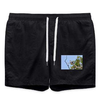 000_1522_NikDxO_cuckoo - Short de bain - noir - Devant - AI Model Male 185 light (185cm)