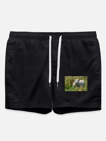 Sheep Lying in the Grass - Poster - Swim Trunks - black