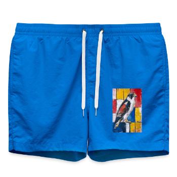 Falcon - Swim Trunks - cobalt blue - Front