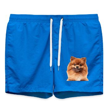 Zwergspitz - Badeshorts - Cobalt blue - Vorne