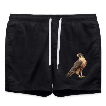 Falcon Falcon - Swim Trunks - black - Front - AI Model Male 185 light (185cm)