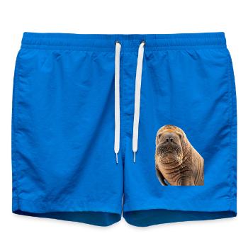 Walross - Badeshorts - Cobalt blue - Vorne