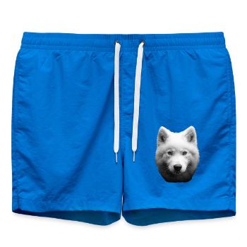 Samojede - Badeshorts - Cobalt blue - Vorne