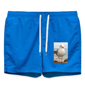 Herring Gull (Larus argentatus) on the beach Gull - Swim Trunks - cobalt blue - Front