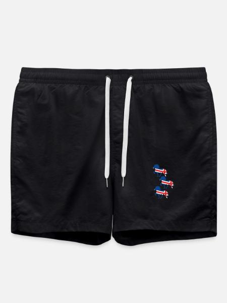 Icelandic horse flag - Swim Trunks - black