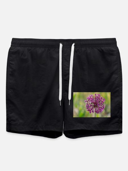 Close-up of a Purple Flower - Giant Leek - Swim Trunks - black